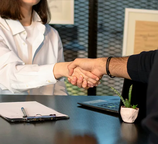 Doradztwo przy wyborze trawy